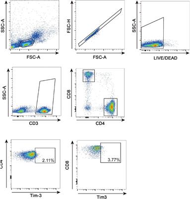 T cell immunoglobulin and mucin domain-containing protein 3 is highly expressed in patients with acute decompensated heart failure and predicts mid-term prognosis